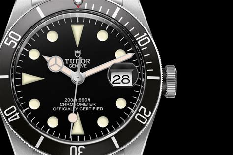 tudor watches predictions